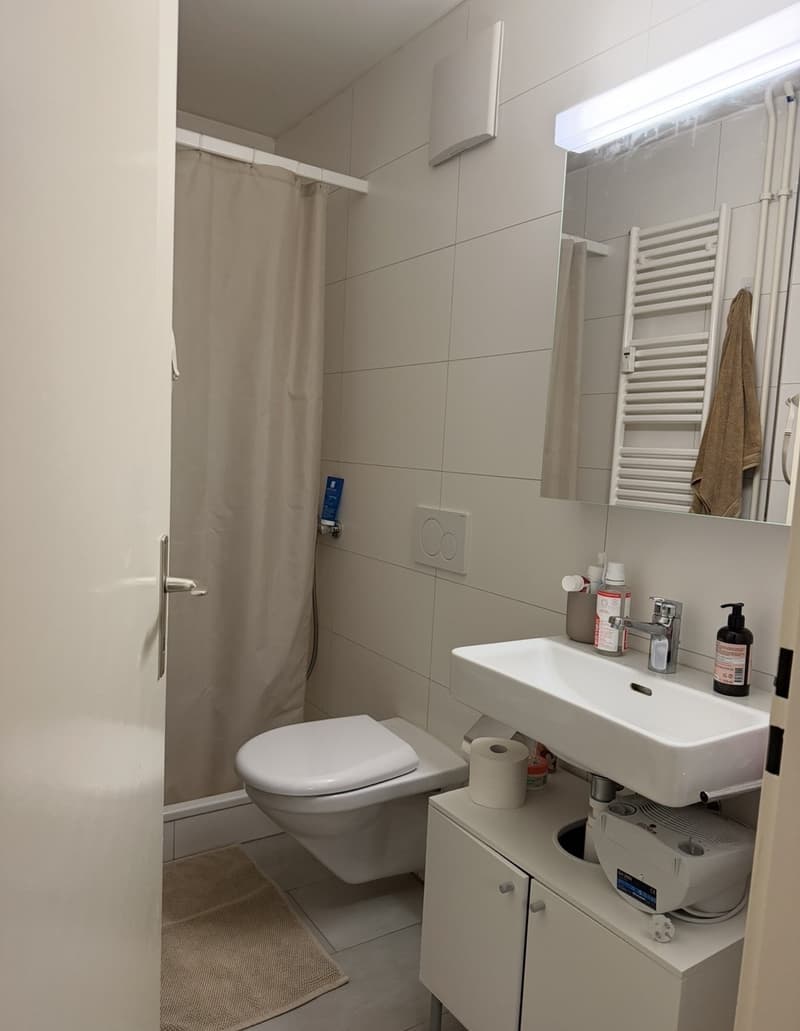 Möblierte 1.5-Zimmer-Wohnung in Effretikon zur Untermiete (4)