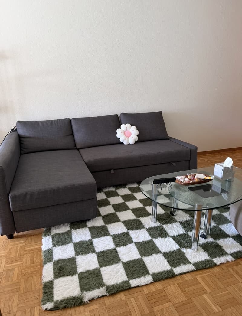 Möblierte 1.5-Zimmer-Wohnung in Effretikon zur Untermiete (2)