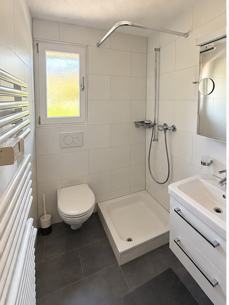 Room for rent in Gstaad (3)