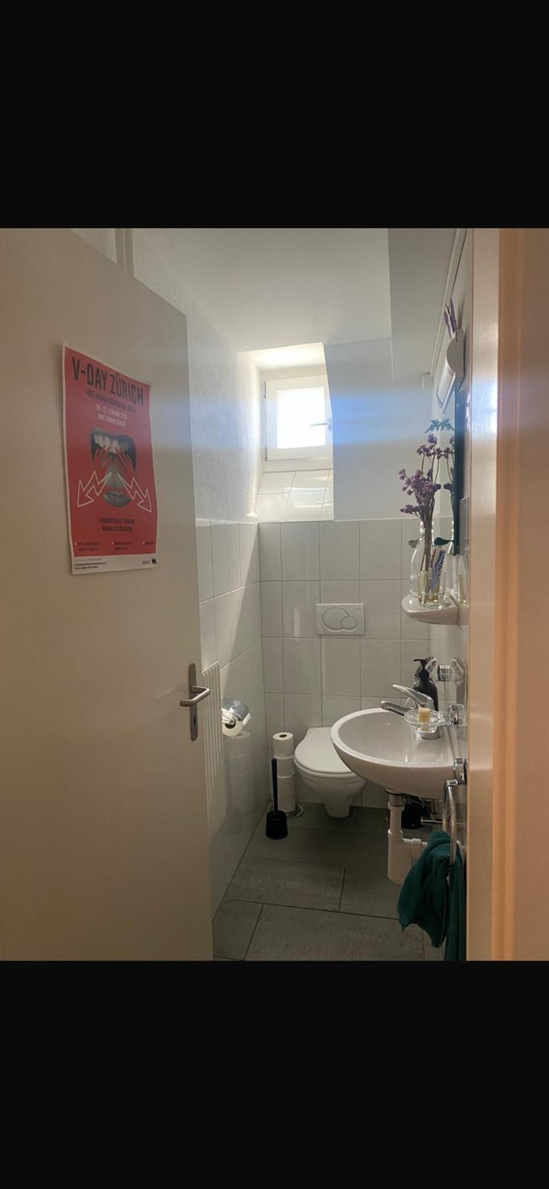 Befristetes Zimmer im Herzen von Zürich (9)