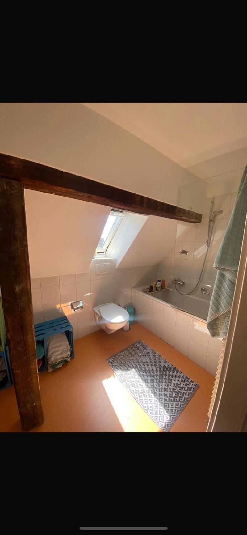 Befristetes Zimmer im Herzen von Zürich (10)