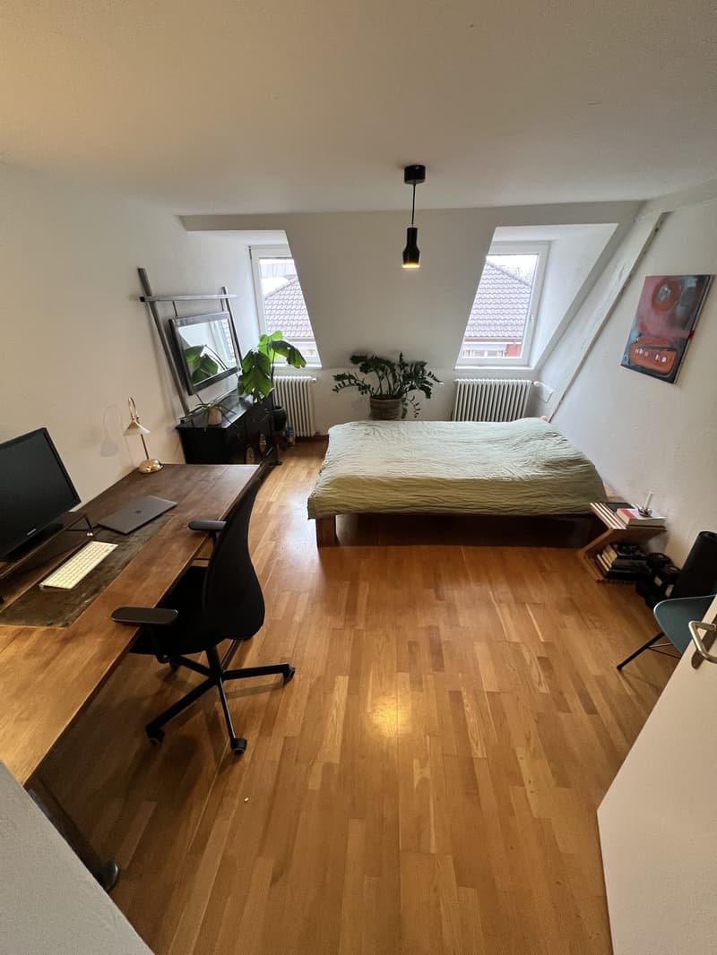 Befristetes Zimmer im Herzen von Zürich (2)