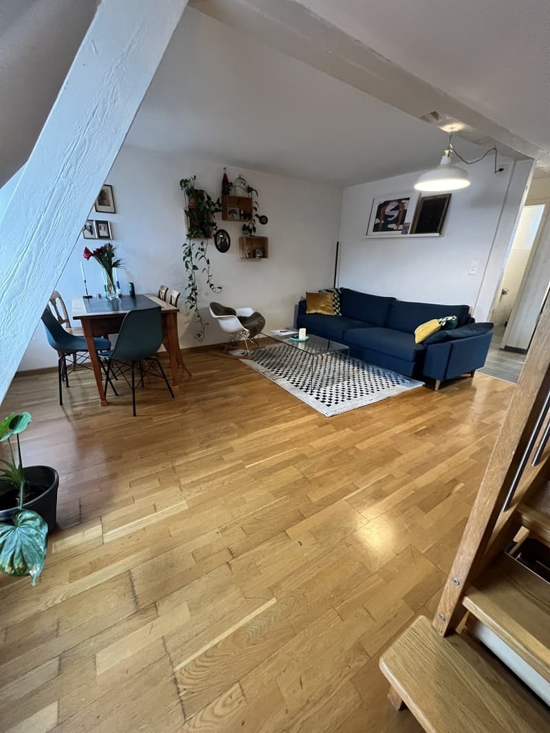Befristetes Zimmer im Herzen von Zürich (1)