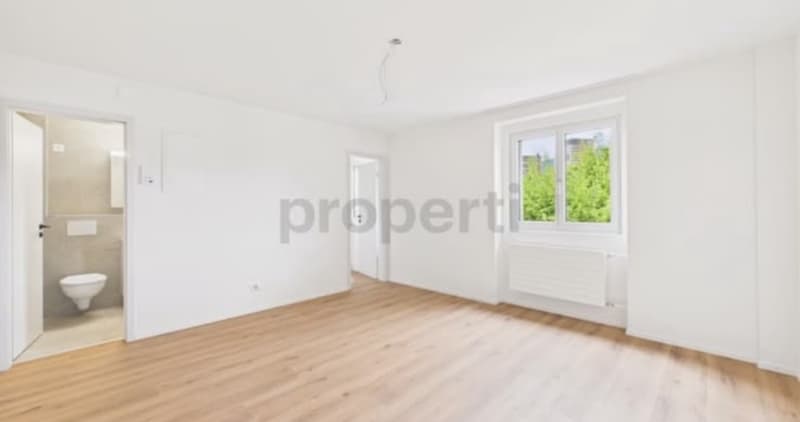 Neu renovierte, möblierte 1,5-Zimmer-Wohnung mit schöner Aussicht in Luzern (1)