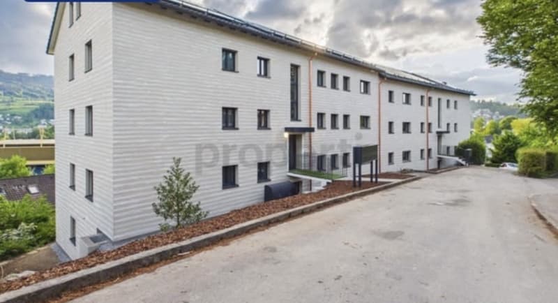 Neu renovierte, möblierte 1,5-Zimmer-Wohnung mit schöner Aussicht in Luzern (6)