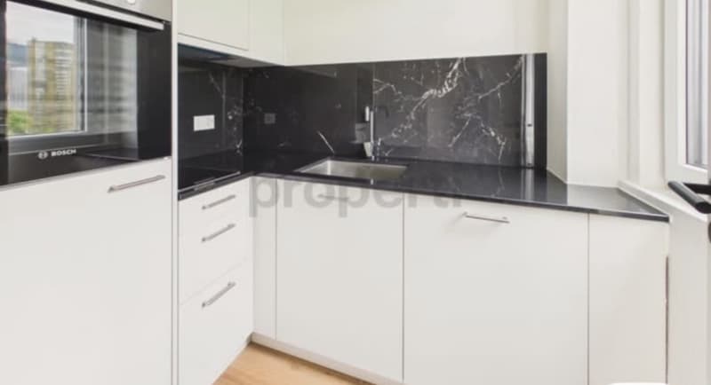 Neu renovierte, möblierte 1,5-Zimmer-Wohnung mit schöner Aussicht in Luzern (5)