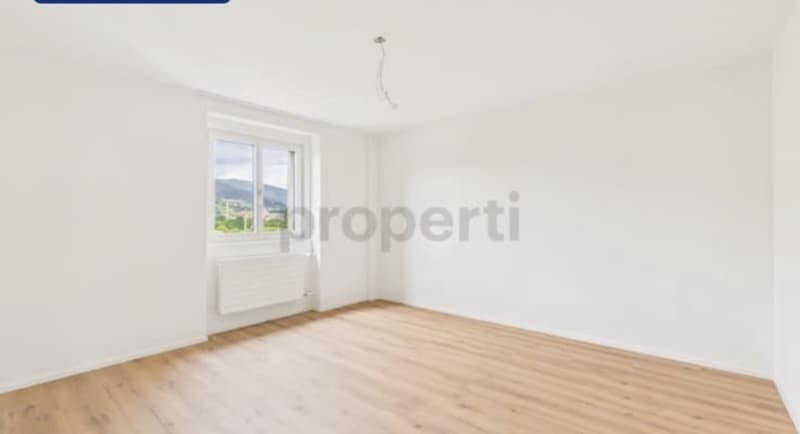 Neu renovierte, möblierte 1,5-Zimmer-Wohnung mit schöner Aussicht in Luzern (3)