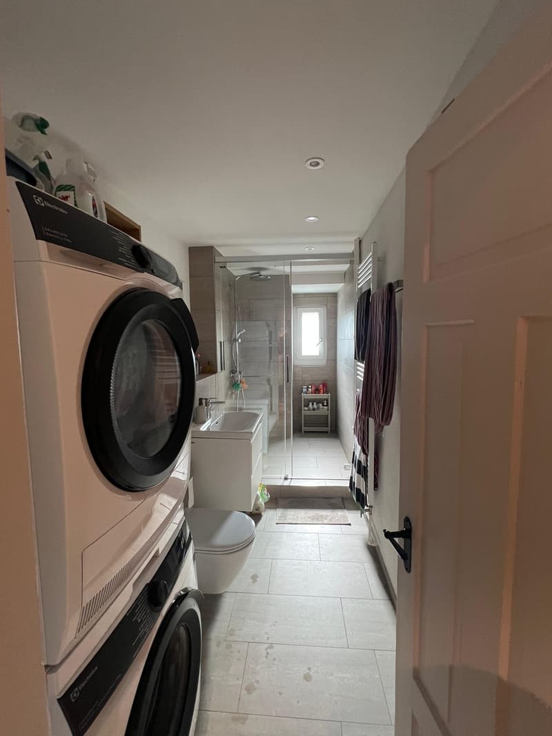 3 ½ rooms apartment, 8810 Horgen (8)