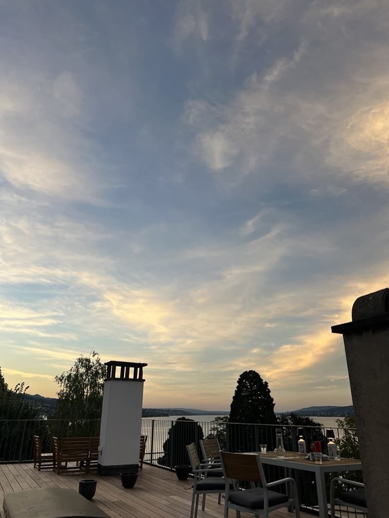 3 ½ rooms apartment, 8810 Horgen (9)