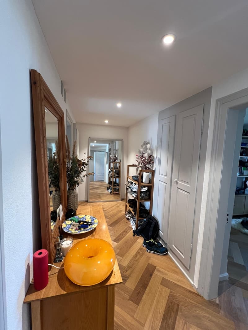 3 ½ rooms apartment, 8810 Horgen (3)