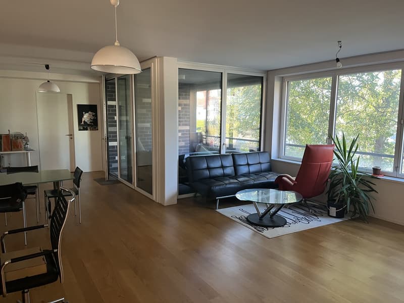 Befristetes möbeliertes WG Zimmer DEZ-JAN (5)