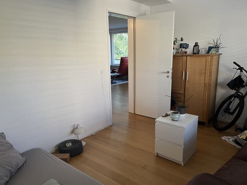 Befristetes möbeliertes WG Zimmer DEZ-JAN (2)