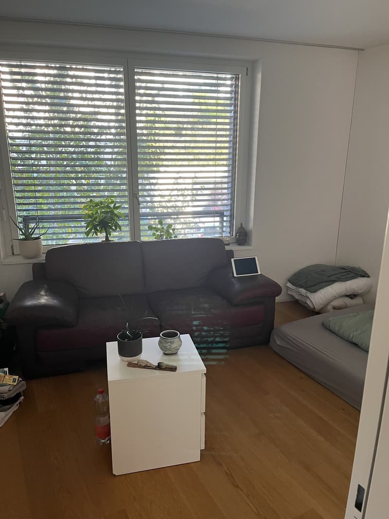 Befristetes möbeliertes WG Zimmer DEZ-JAN (1)