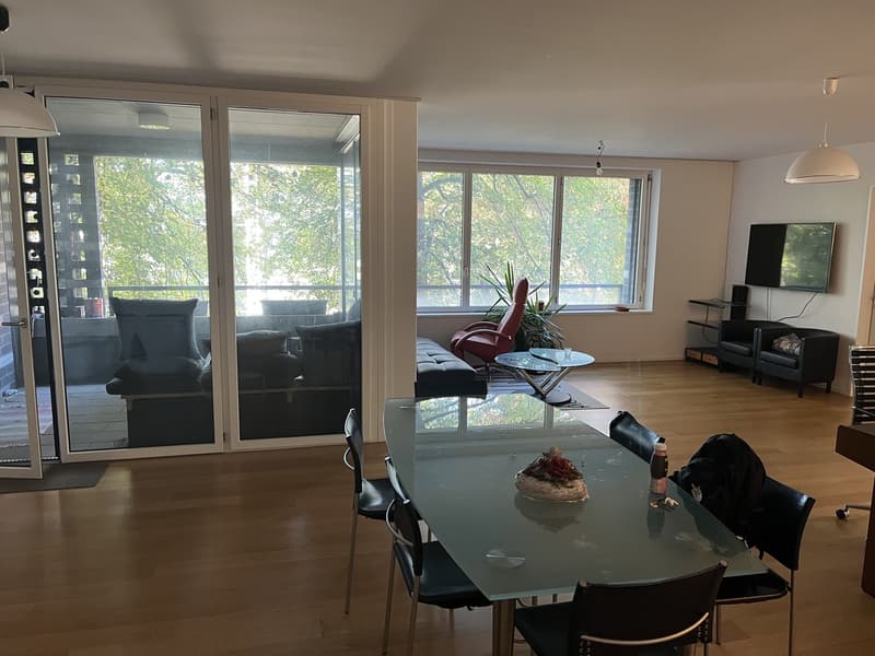 Befristetes möbeliertes WG Zimmer DEZ-JAN (4)