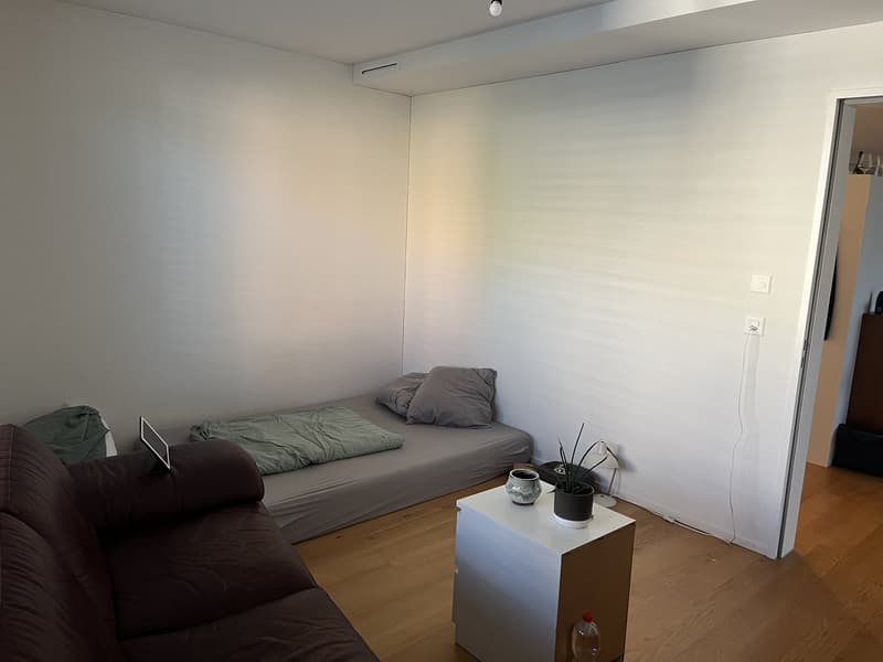 Befristetes möbeliertes WG Zimmer DEZ-JAN (3)