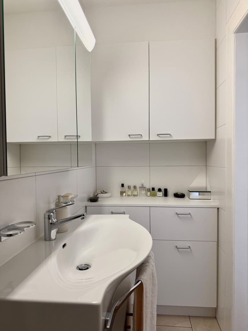 Zwischenvermietung (möbliert) im Kleinbasel / nähe Messeplatz (3 Monate) (6)