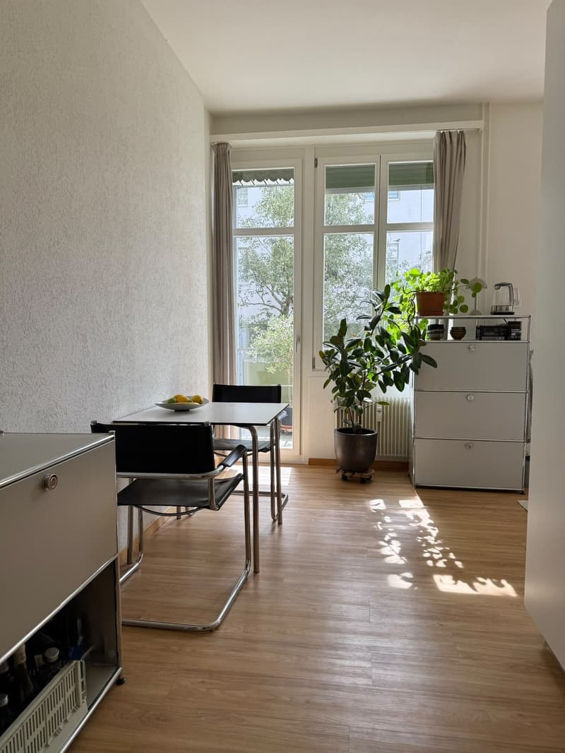 Zwischenvermietung (möbliert) im Kleinbasel / nähe Messeplatz (3 Monate) (10)