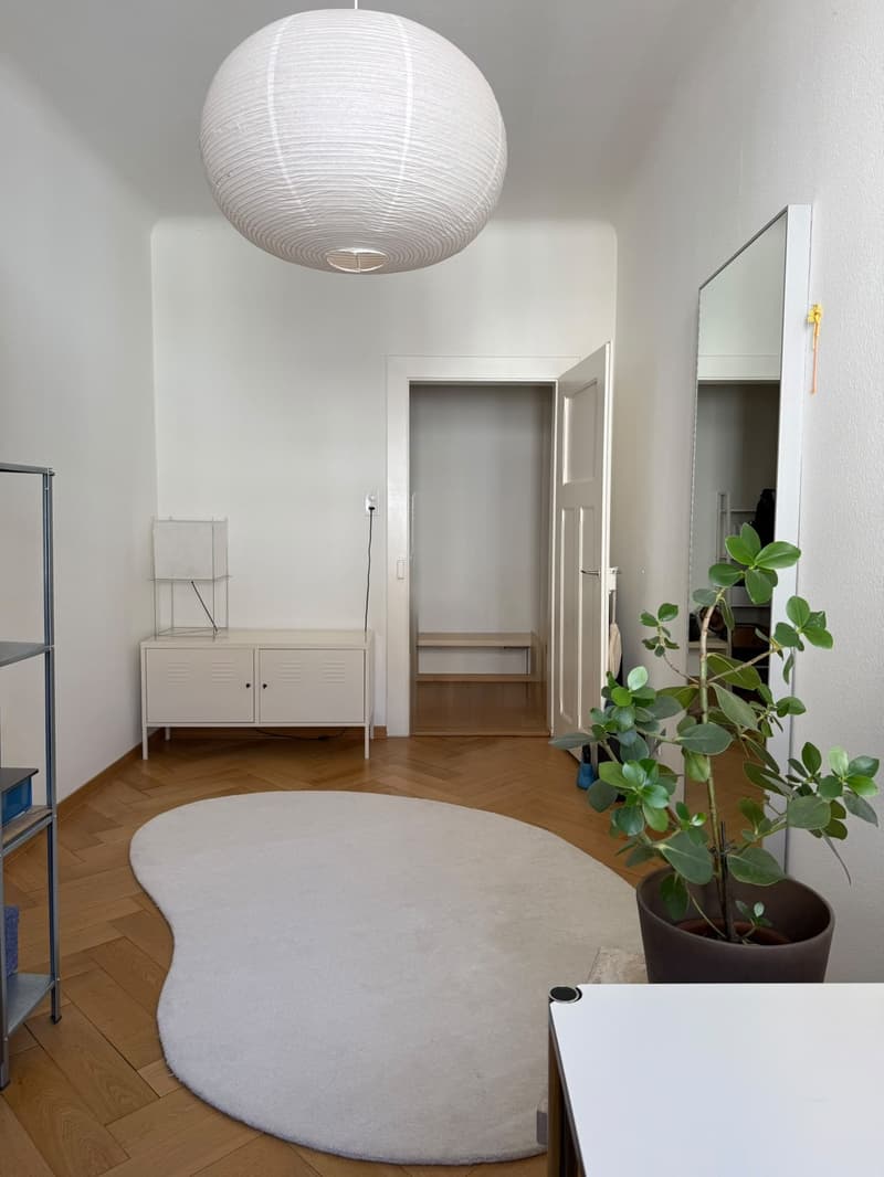 Zwischenvermietung (möbliert) im Kleinbasel / nähe Messeplatz (3 Monate) (5)