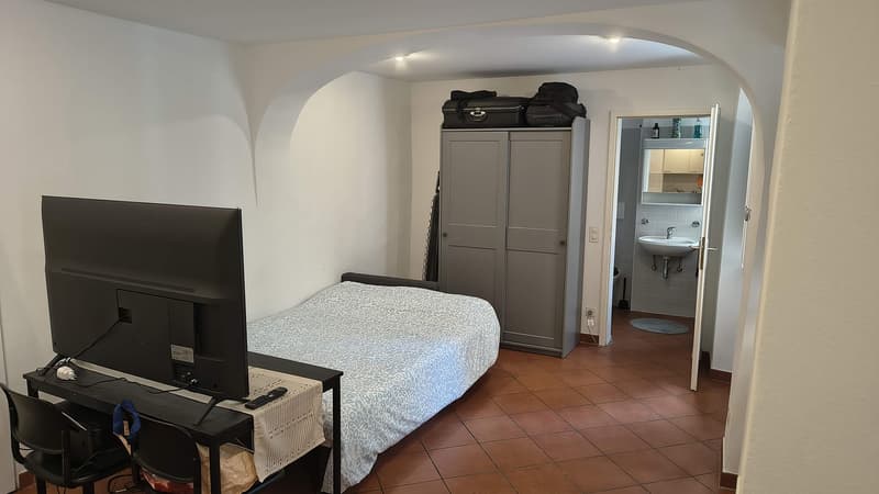 Monolocale a Riva San Vitale (4)