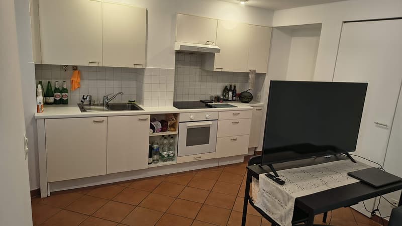 Monolocale a Riva San Vitale (6)