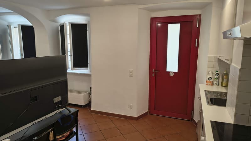 Monolocale a Riva San Vitale (5)
