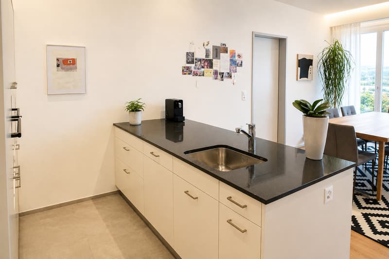 Ruhige Lage, grosse Sonnenterrasse 50m2 (4)