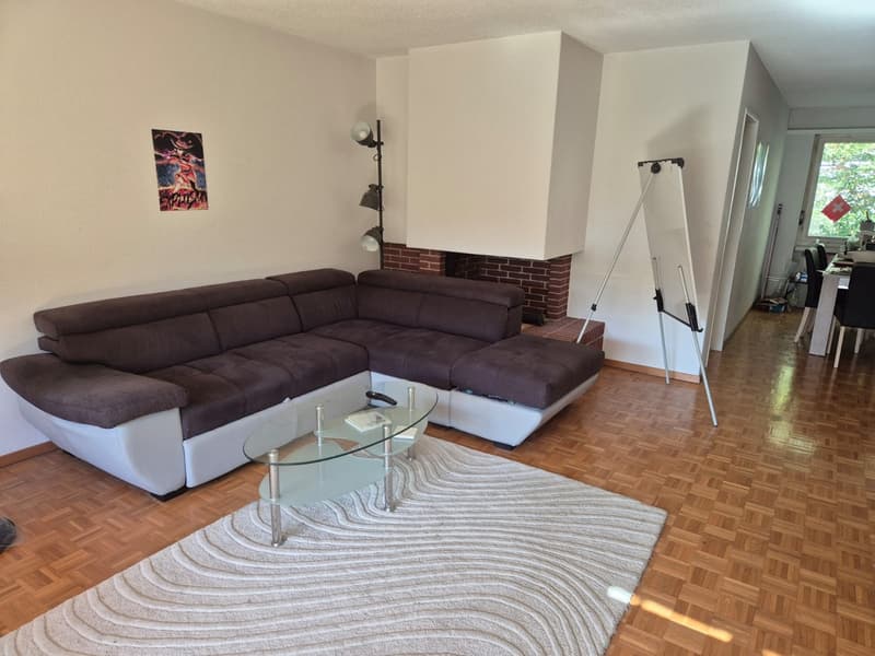 Room in Wallisellen, Zurich (4)
