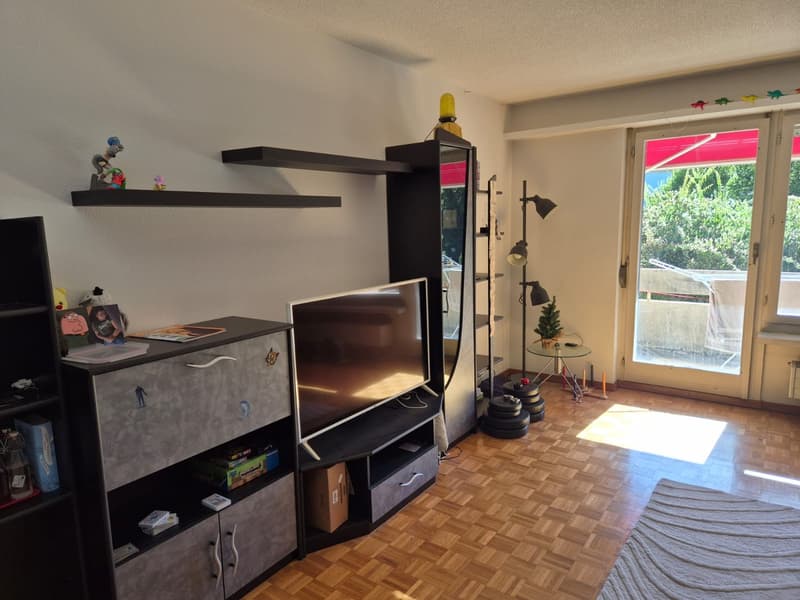 Room in Wallisellen, Zurich (3)