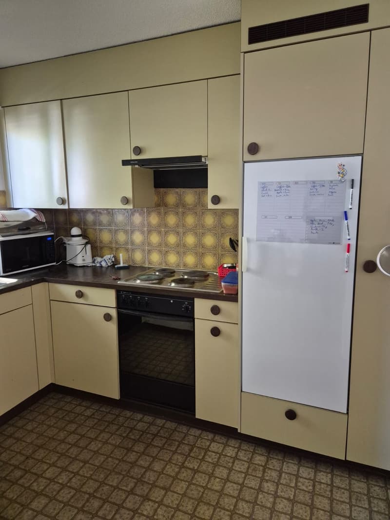 Room in Wallisellen, Zurich (5)