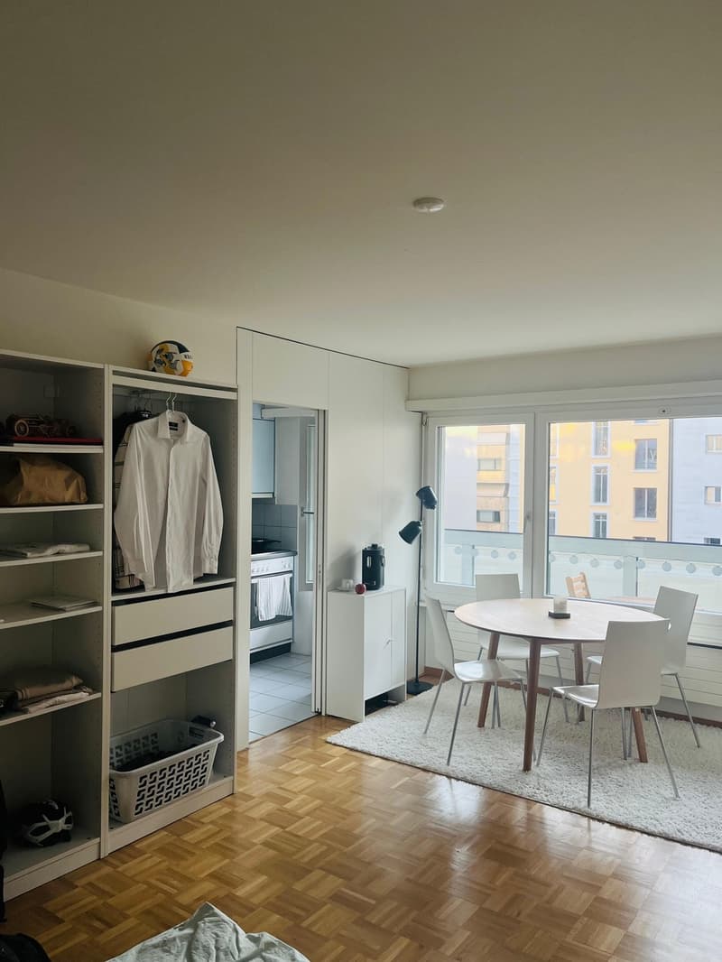 1-Zimmer-Wohnung mit grossem, überdachtem Balkon im Zentrum von Luzern (2)