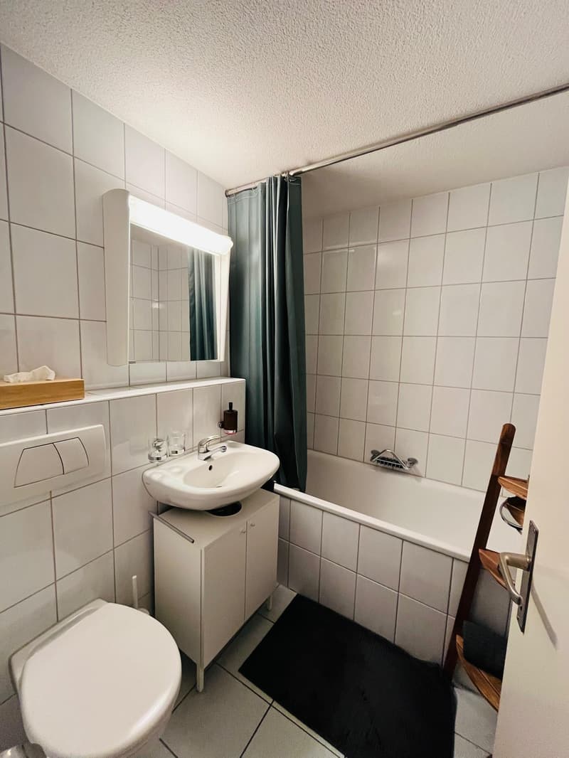 1-Zimmer-Wohnung mit grossem, überdachtem Balkon im Zentrum von Luzern (8)