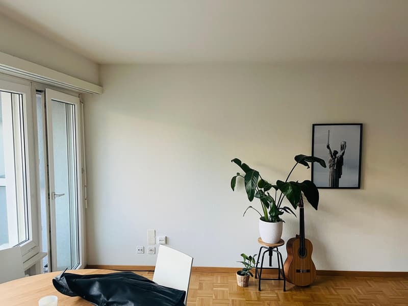 1-Zimmer-Wohnung mit grossem, überdachtem Balkon im Zentrum von Luzern (3)