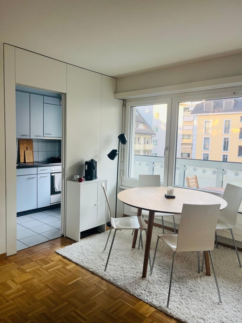 1-Zimmer-Wohnung mit grossem, überdachtem Balkon im Zentrum von Luzern (1)