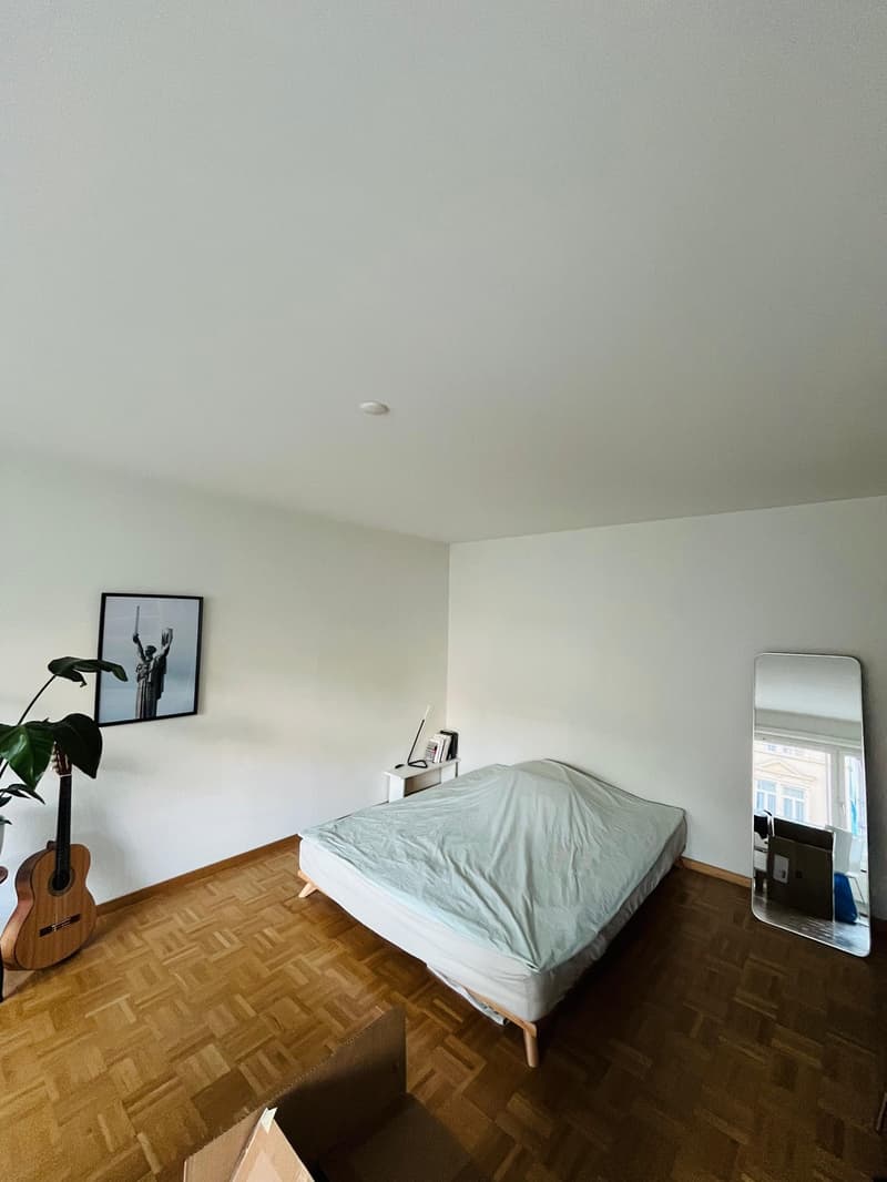 1-Zimmer-Wohnung mit grossem, überdachtem Balkon im Zentrum von Luzern (4)