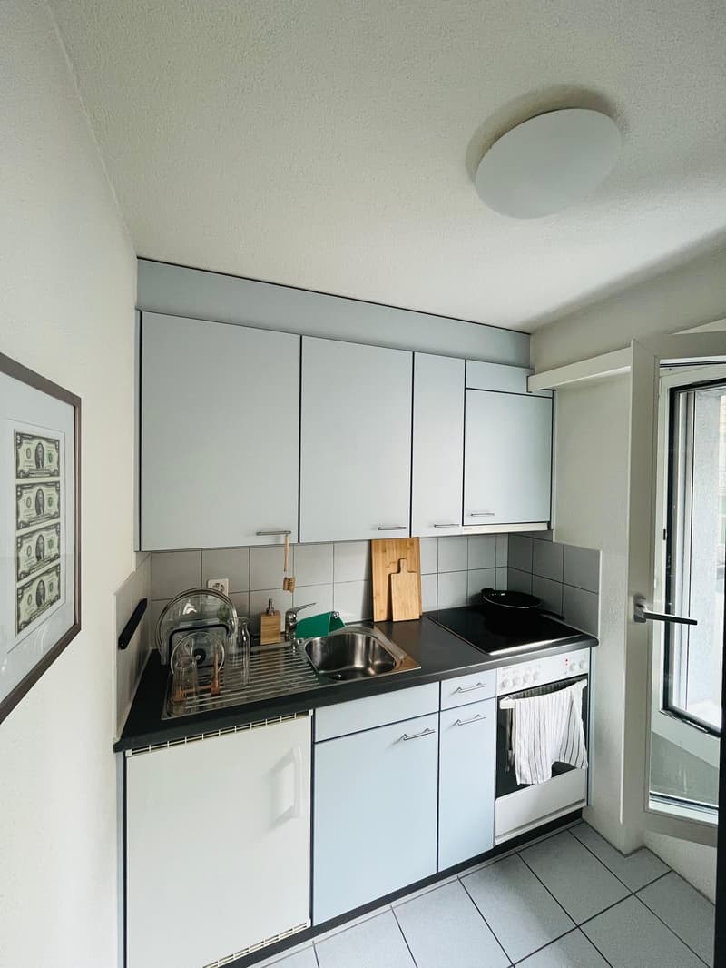 1-Zimmer-Wohnung mit grossem, überdachtem Balkon im Zentrum von Luzern (5)