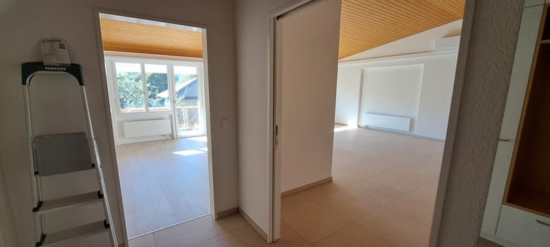 Hell, ruhig, frisch renoviert: 2.5-Zimmer-Wohnung mit Balkon und Gartensitzplatz (3)