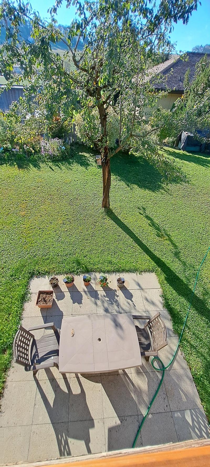Hell, ruhig, frisch renoviert: 2.5-Zimmer-Wohnung mit Balkon und Gartensitzplatz (13)