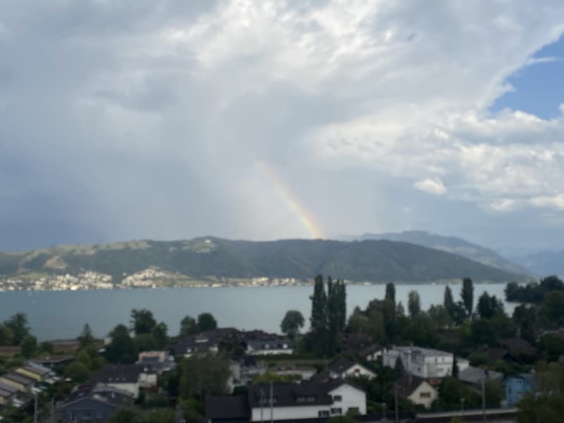 WG Zimmer, 6333 Hünenberg am See (4)