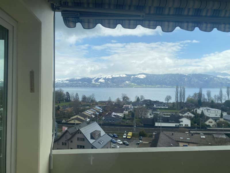 WG Zimmer, 6333 Hünenberg am See (13)