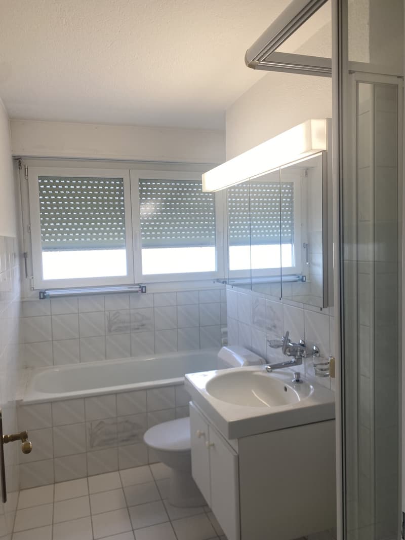 WG Zimmer, 6333 Hünenberg am See (12)