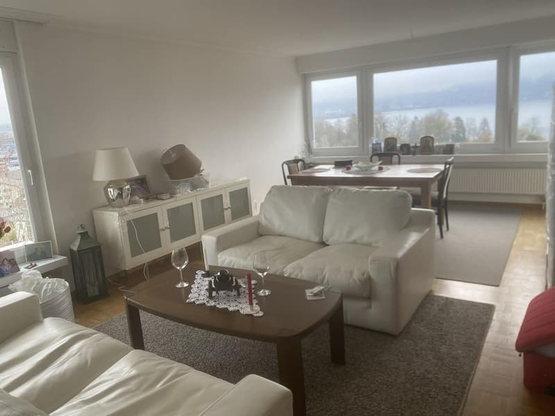WG Zimmer, 6333 Hünenberg am See (2)