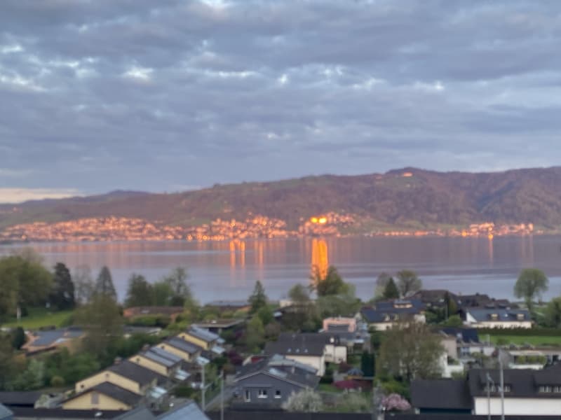 WG Zimmer, 6333 Hünenberg am See (7)
