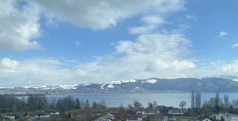 WG Zimmer, 6333 Hünenberg am See (3)