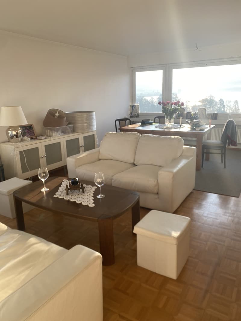 WG Zimmer, 6333 Hünenberg am See (6)