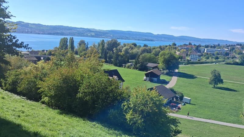 Mama oder Papa mit Kind Gesucht für WG mit Mama und Kind (8)