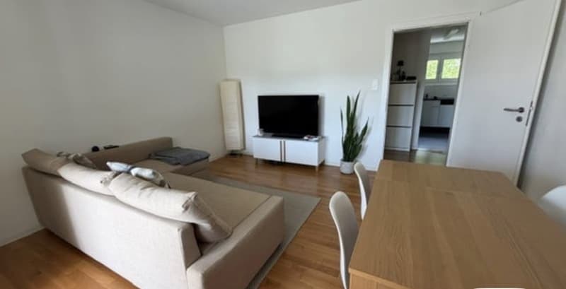 Helle 3-Zimmer-Wohnung mit Gartensitzplatz (6)