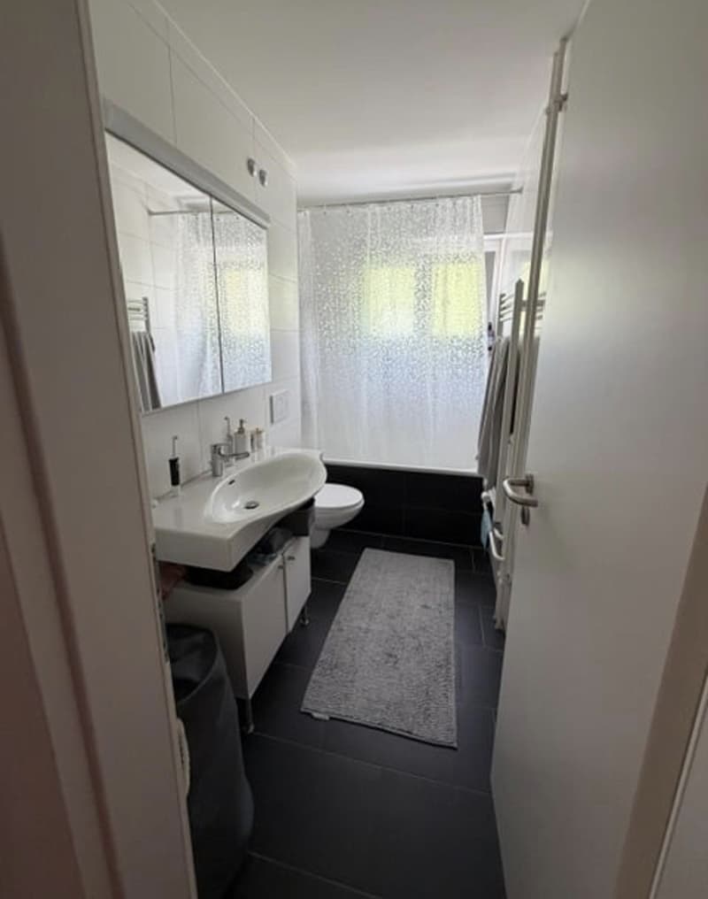 Helle 3-Zimmer-Wohnung mit Gartensitzplatz (5)