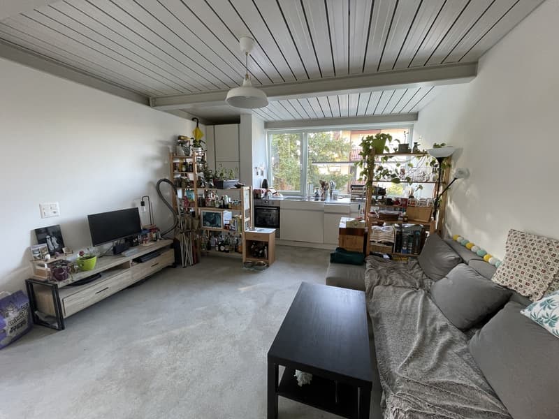 Appartement (1)