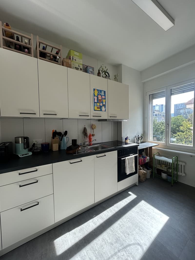 Schönes Zimmer in rennovierter 2er-WG nahe Stauffacher (4)