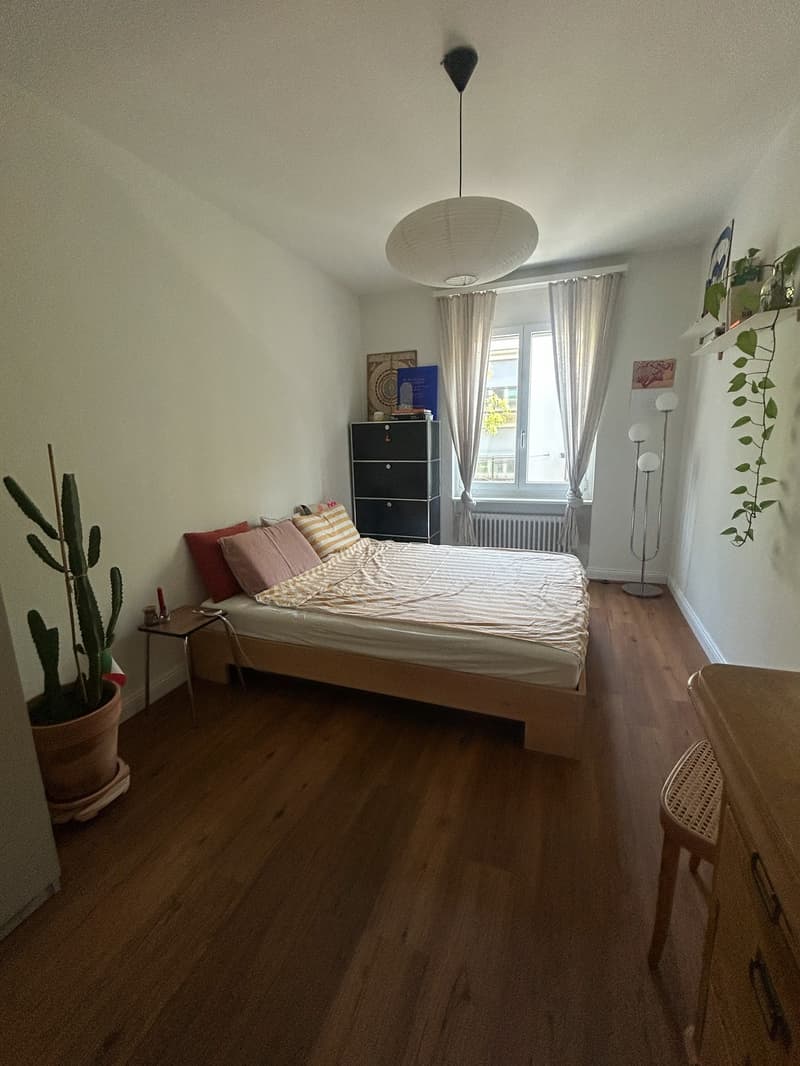 Schönes Zimmer in rennovierter 2er-WG nahe Stauffacher (2)